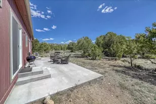 14124 Co Rd 162, Nathrop, CO 81236 - Photo 3