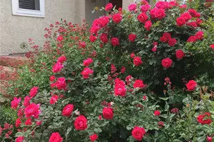 2002 W Ridge Rd, Littleton, CO 80120 - Photo 43