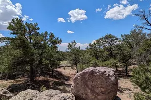 1240 Brookview Way, Crestone, CO 81131 - Photo 1