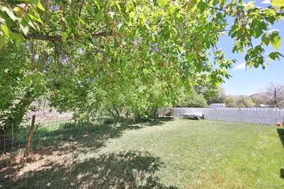 4055 Pinion Street, Collbran, CO 81624 - Photo 21