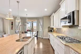 14141 Hillrose Pl, Parker, CO 80134 - Photo 13