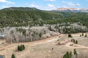 689 Divide S, Divide, CO 80814 - Photo 45