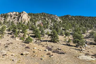 1354 Puma Hills Road, Lake George, CO 80827 - Photo 1