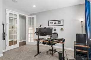5894 Berry Ridge Wy., Castle Rock, CO 80104 - Photo 13