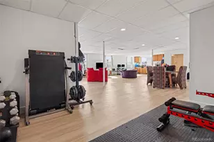 937 Snow Lake Ct, Watkins, CO 80137 - Photo 31