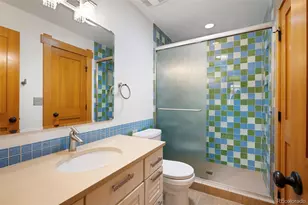 1121 S Williams St, Denver, CO 80210 - Photo 23