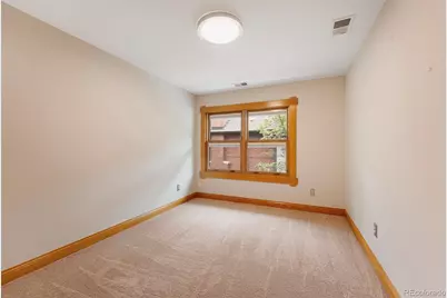 1121 S Williams Street, Denver, CO 80210 - Photo 21