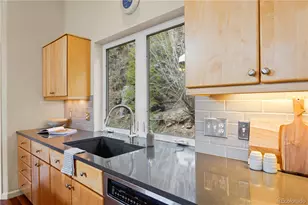 385 Snyder Mountain Rd, Evergreen, CO 80439 - Photo 9
