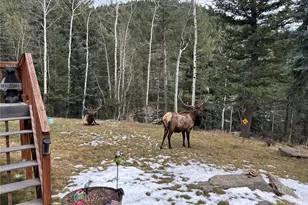 385 Snyder Mountain Rd, Evergreen, CO 80439 - Photo 33