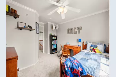 4833 Eckert Street, Castle Rock, CO 80104 - Photo 27