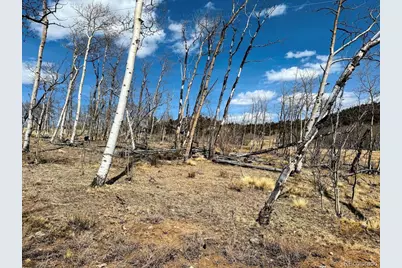 457 Caracara Lane, Jefferson, CO 80456 - Photo 7