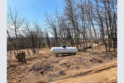 457 Caracara Lane, Jefferson, CO 80456 - Photo 5