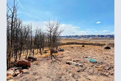 457 Caracara Lane, Jefferson, CO 80456 - Photo 21