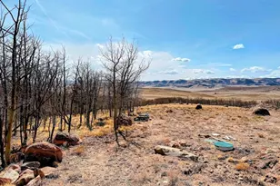 457 Caracara Ln, Jefferson, CO 80456 - Photo 21