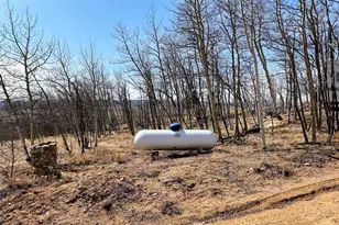 457 Caracara Ln, Jefferson, CO 80456 - Photo 15