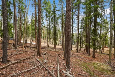 Ute Trail, Evergreen, CO 80439 - Photo 15