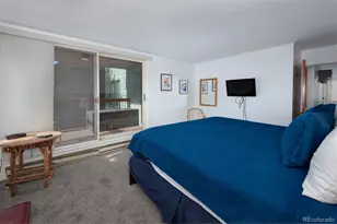 352 Wild Irishman Rd, Keystone, CO 80435 - Photo 19