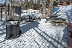 352 Wild Irishman Rd, Keystone, CO 80435 - Photo 35