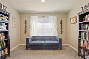 9917 Hawthorne St, Highlands Ranch, CO 80126 - Photo 25