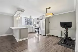 1155 N Ash Street, Denver, CO 80220 - Photo 5