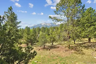 18220 Alta Vista Dr, Buena Vista, CO 81211 - Photo 47
