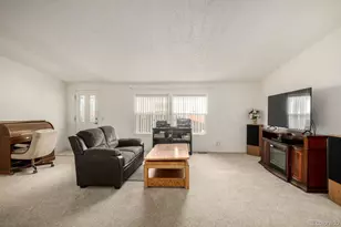 9024 Madeleine St, Denver, CO 80260 - Photo 7