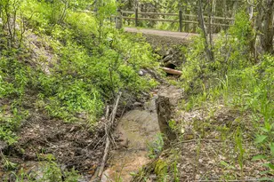 11182 S Barney Gulch Rd, Conifer, CO 80433 - Photo 49