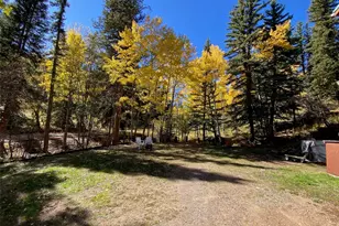 11182 S Barney Gulch Rd, Conifer, CO 80433 - Photo 37