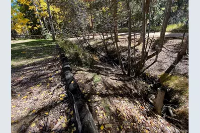 11182 S Barney Gulch Road, Conifer, CO 80433 - Photo 39