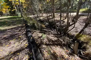 11182 S Barney Gulch Rd, Conifer, CO 80433 - Photo 39