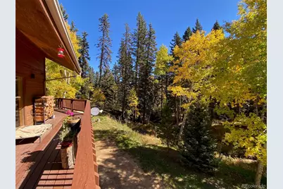 11182 S Barney Gulch Road, Conifer, CO 80433 - Photo 35