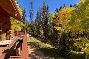 11182 S Barney Gulch Rd, Conifer, CO 80433 - Photo 35