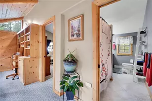 11182 S Barney Gulch Rd, Conifer, CO 80433 - Photo 23