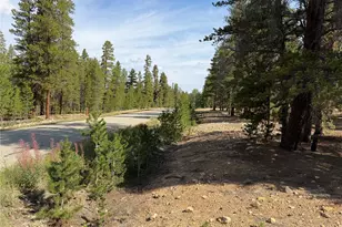 1796 Autumn Dr, Leadville, CO 80461 - Photo 1