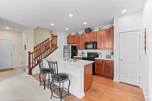 10053 Nadine Ln, Parker, CO 80134 - Photo 3