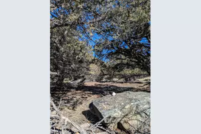 4229 Radiant, Crestone, CO 81131 - Photo 11