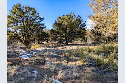 4229 Radiant, Crestone, CO 81131 - Photo 5