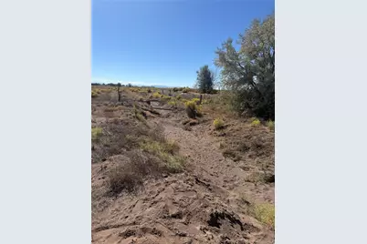4654 Alpine Ranch Lane, Alamosa, CO 81101 - Photo 9