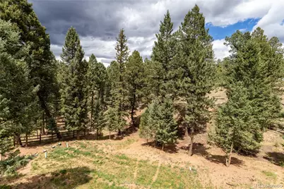 1427 N Mountain Estates Road, Florissant, CO 80816 - Photo 35