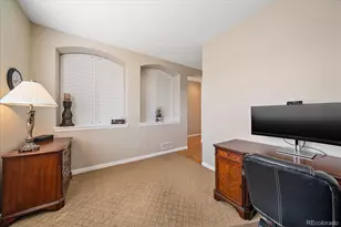 10811 Chadsworth Point, Highlands Ranch, CO 80126 - Photo 19