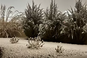 3407 Woodbridge Pl, Montrose, CO 81401 - Photo 37