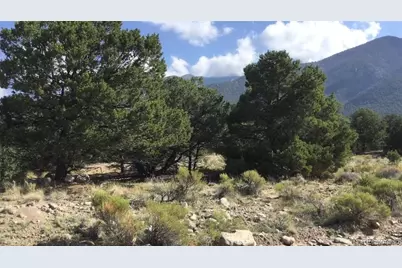 3514 Forest Trail Overlook, Crestone, CO 81131 - Photo 9