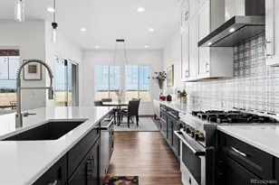 9505 Autumn Moon Ave, Littleton, CO 80125 - Photo 5