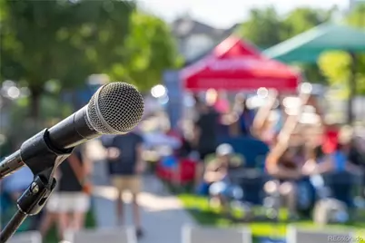 2270 W 66th Avenue, Denver, CO 80221 - Photo 45