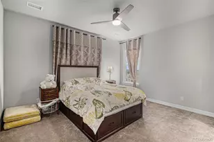 255 Rogers Ct, Castle Rock, CO 80104 - Photo 15