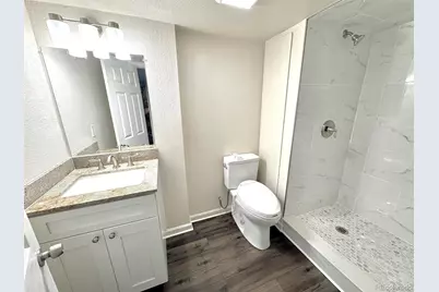 9927 Spring Hill Lane, Highlands Ranch, CO 80129 - Photo 39