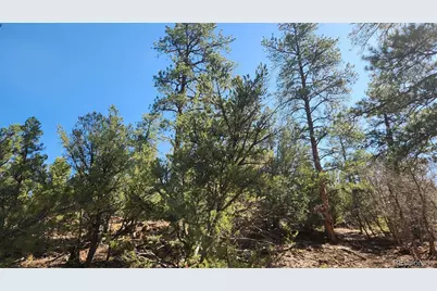 Tbd L 10th Trail, Cotopaxi, CO 81223 - Photo 25