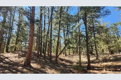 Tbd L 10th Trail, Cotopaxi, CO 81223 - Photo 27