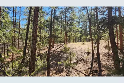 Tbd L 10th Trail, Cotopaxi, CO 81223 - Photo 19