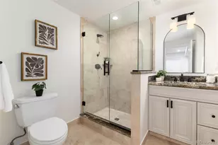 9047 Mountain Laurel Way, Highlands Ranch, CO 80126 - Photo 41